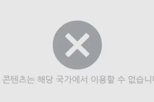 아카라이브 해당 국가 제한 뚫는법