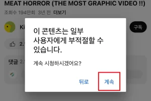 유튜브 영상 성인 인증 없이 보는 방법 (아이피 우회)