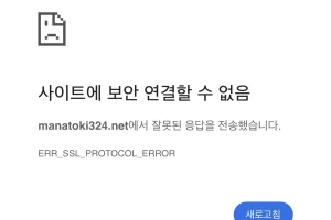 차단된 웹사이트 접속하는 방법 (보안 연결할 수 없음 해결)