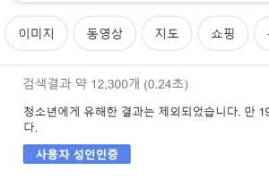 PC 구글 성인인증 없이 검색하는 방법 (연령인증 우회)