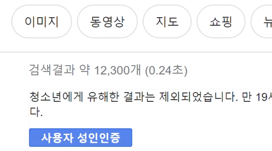 PC 구글 성인인증 없이 검색하는 방법 (연령인증 우회)