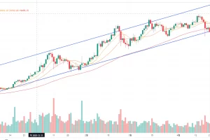 추세선과 추세대 간단 정리