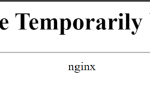 아카라이브 503 Service Temporarily Unavailable 해결방법