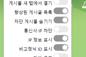 디시인사이드 집피 통피 외국 구분 방법