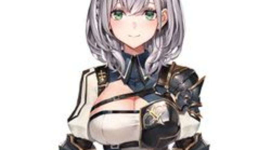 시로가네 노엘(단장) 빨간약, 전생 사진, 안의 사람 얼굴